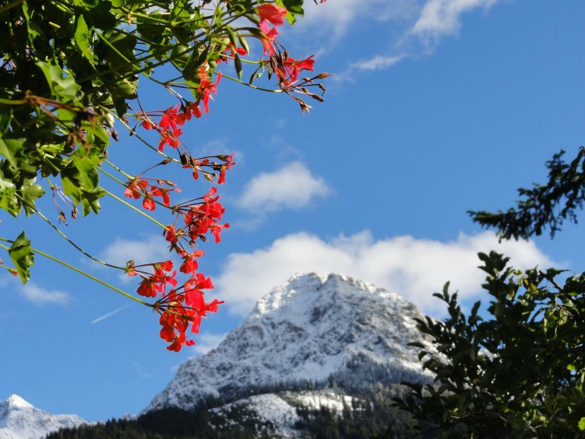Gastehaus Luise Apartment Oberstdorf Luaran gambar